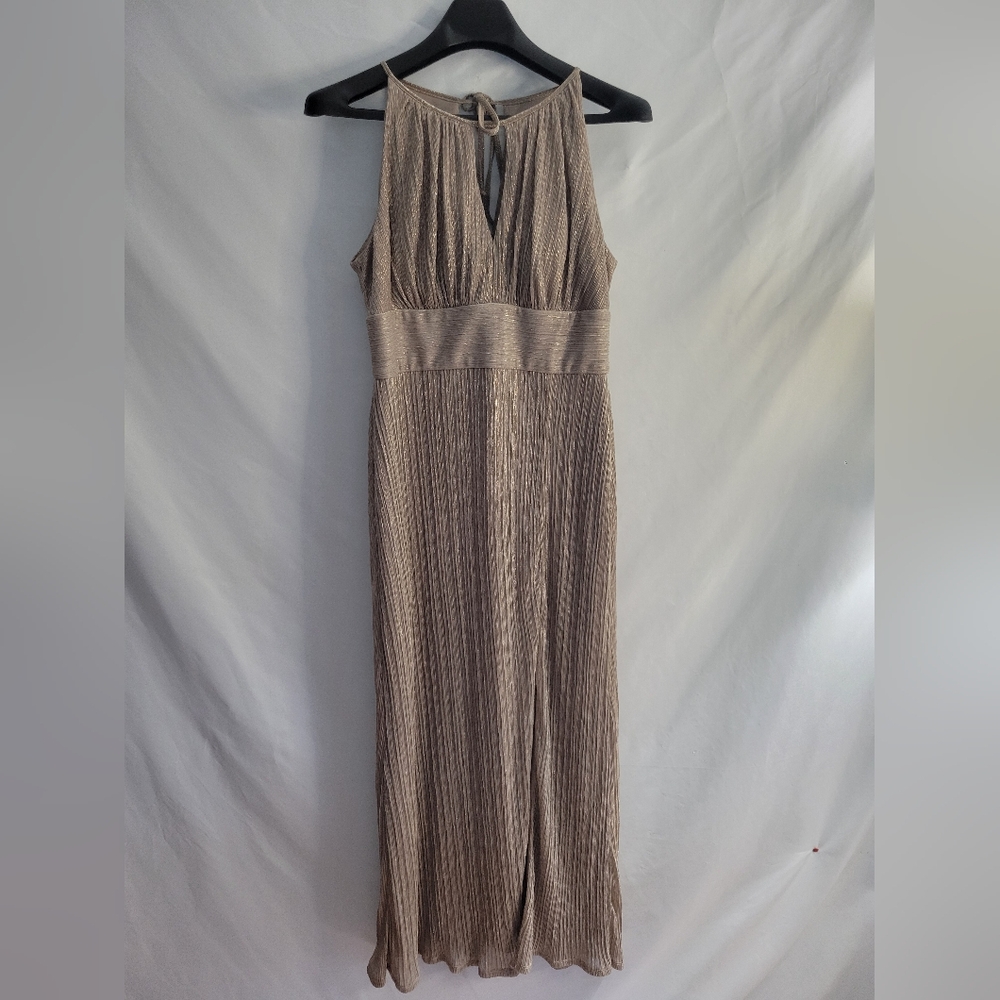 R&M Richards 10 Petite Taupe Color WIth Sparkle